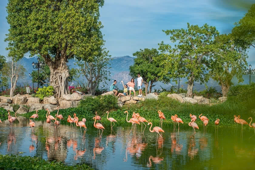 FLC ZOO SAFARI PARK – THÁP ĐÔI – GHỀNH RÁNG TIÊN SA: Tham quan, học tập, khám phá trải nghiệm 1 ngày